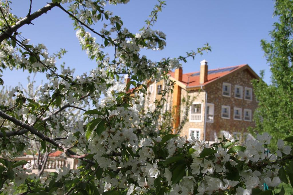 Le Palais Des Cerisiers Hotel Азру Екстериор снимка