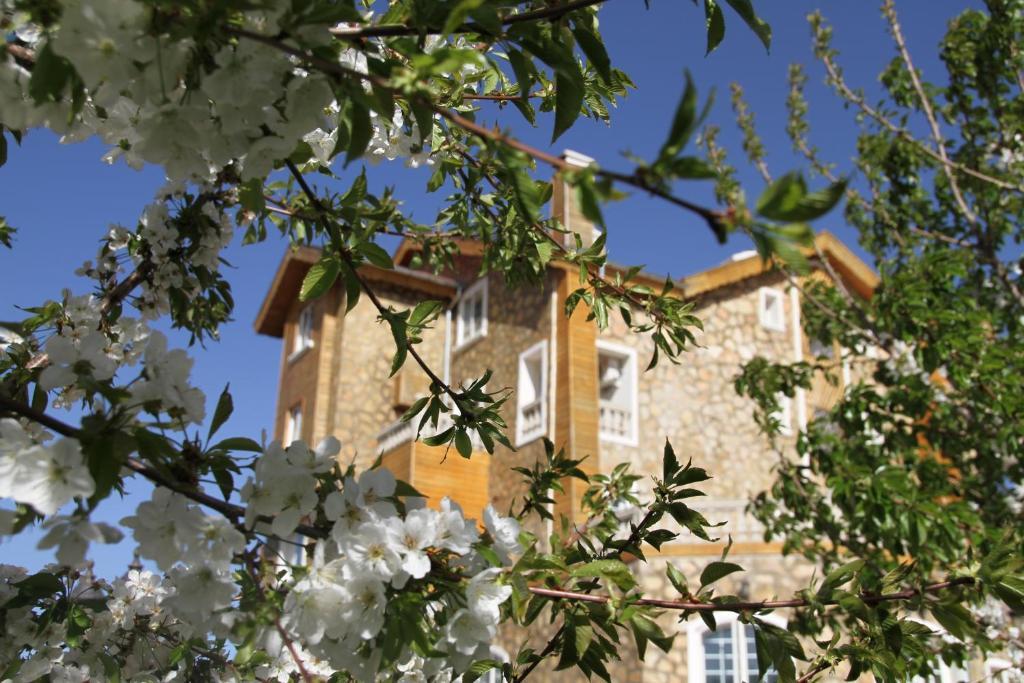 Le Palais Des Cerisiers Hotel Азру Екстериор снимка